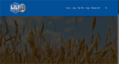 Desktop Screenshot of lilyfromthevillage.com